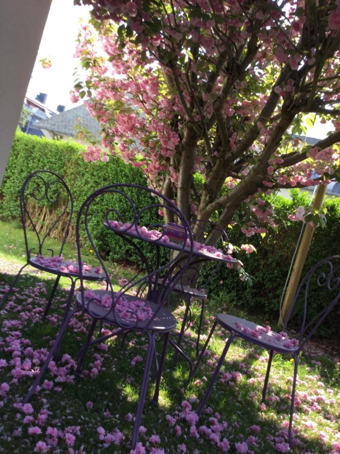 B&B Superieur Villa Vanille Namur Bagian luar foto